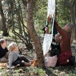 Fabelab- Κουκλοθέατρο - Image 2