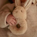 LITTLE DUTCH. Σετ δώρου για Νεογέννητο - Image 3